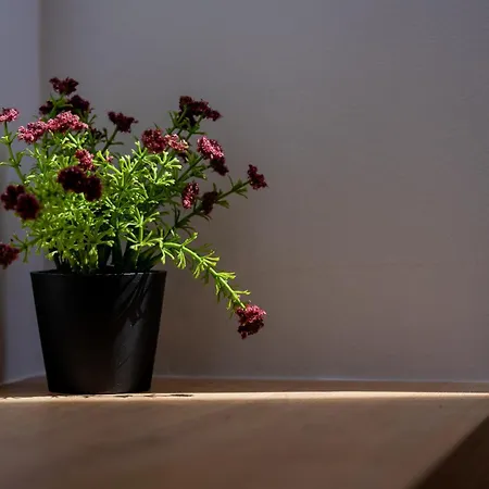 Apartman Dadee's Grande Laganász