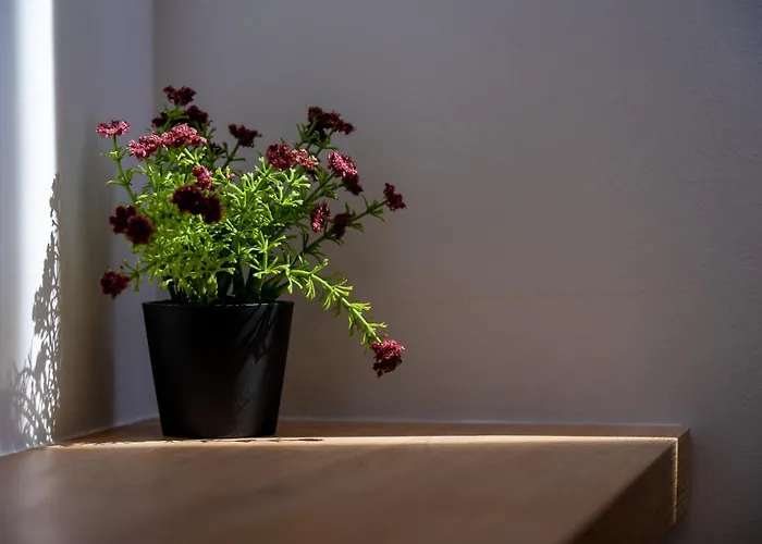 아파트 Dadee's Grande 라가나스